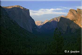 Abendsonne am Half Dome